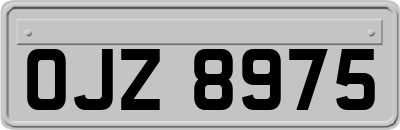 OJZ8975