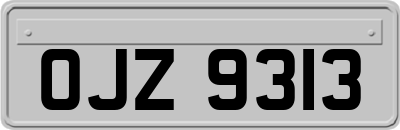 OJZ9313