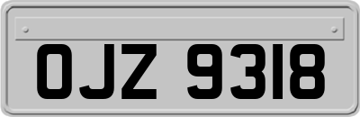 OJZ9318