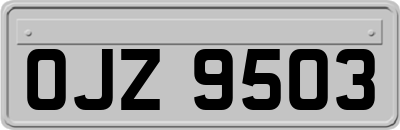 OJZ9503