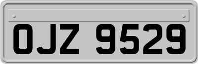 OJZ9529