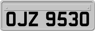 OJZ9530