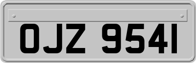 OJZ9541