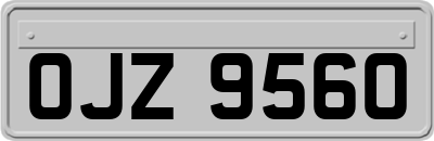 OJZ9560