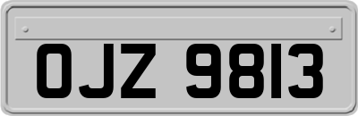 OJZ9813