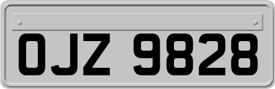 OJZ9828
