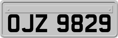 OJZ9829