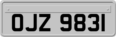 OJZ9831