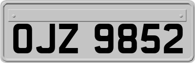 OJZ9852
