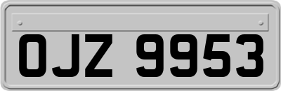OJZ9953
