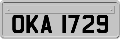 OKA1729