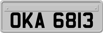 OKA6813