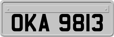OKA9813