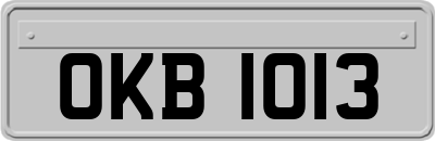 OKB1013