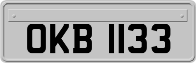 OKB1133