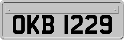 OKB1229