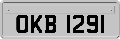 OKB1291