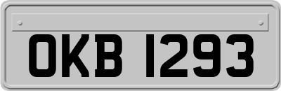 OKB1293