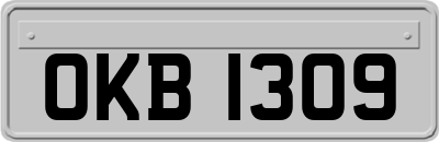 OKB1309