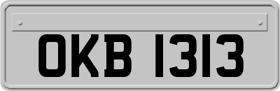 OKB1313