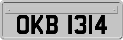 OKB1314