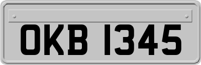 OKB1345