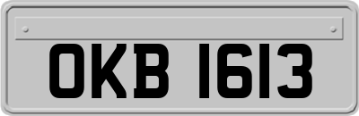 OKB1613