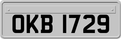OKB1729