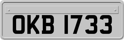 OKB1733