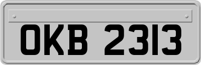 OKB2313
