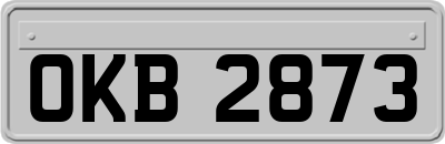 OKB2873