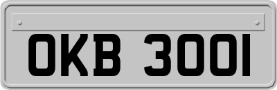 OKB3001