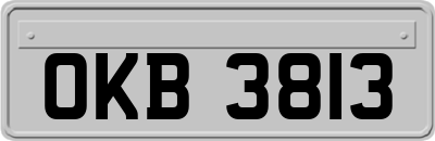 OKB3813