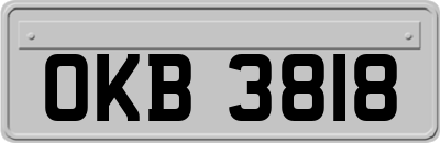 OKB3818