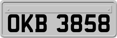 OKB3858