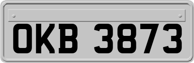 OKB3873