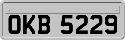 OKB5229