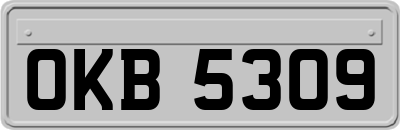 OKB5309