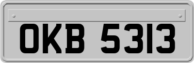 OKB5313