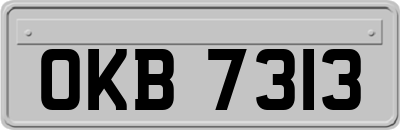 OKB7313