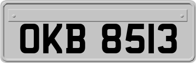 OKB8513