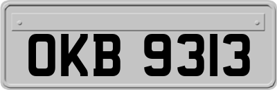 OKB9313
