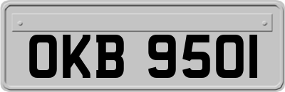 OKB9501