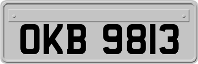 OKB9813
