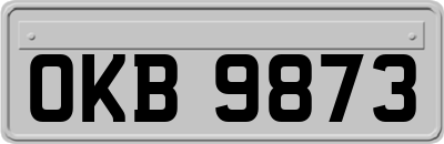 OKB9873