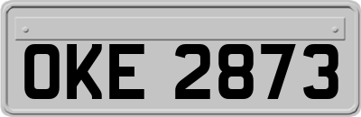 OKE2873