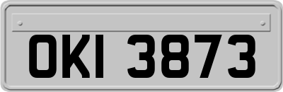 OKI3873