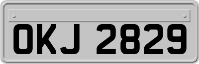 OKJ2829