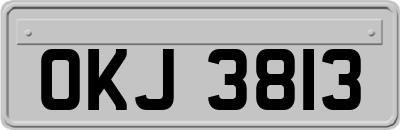 OKJ3813