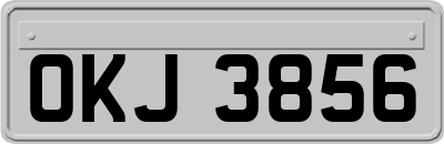 OKJ3856